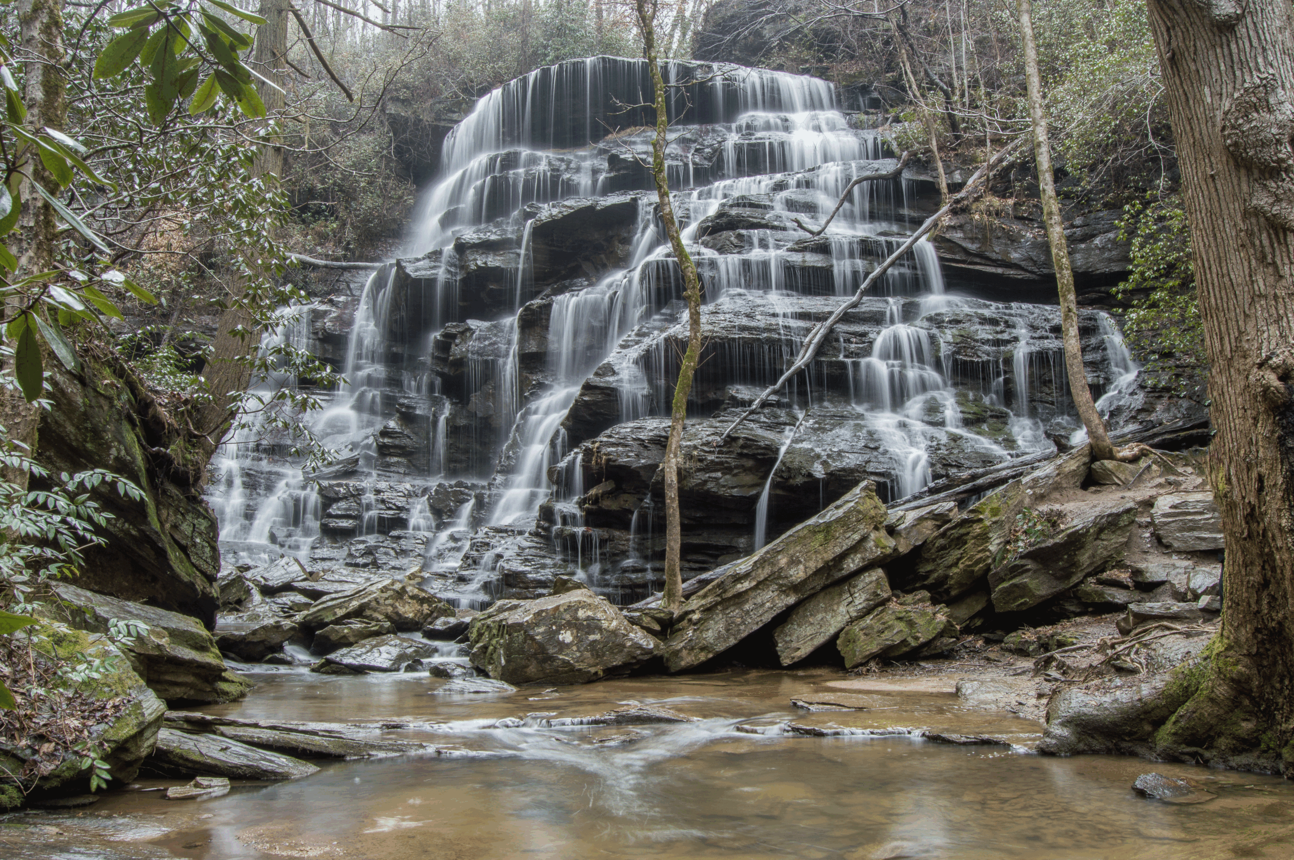 Yellow Branch Falls