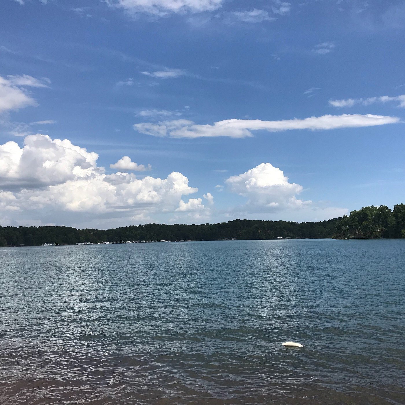 Lake Keowee & South Cove County Park